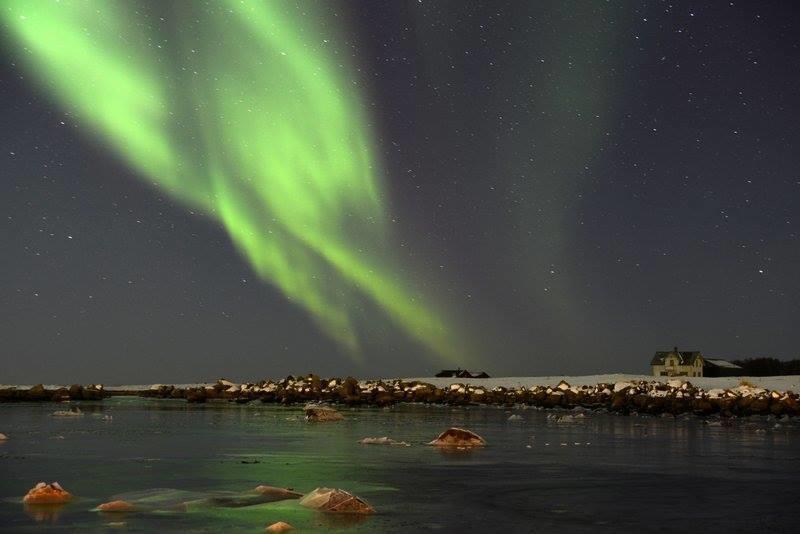 Borghildstua Feriehus Melbu Quarto foto
